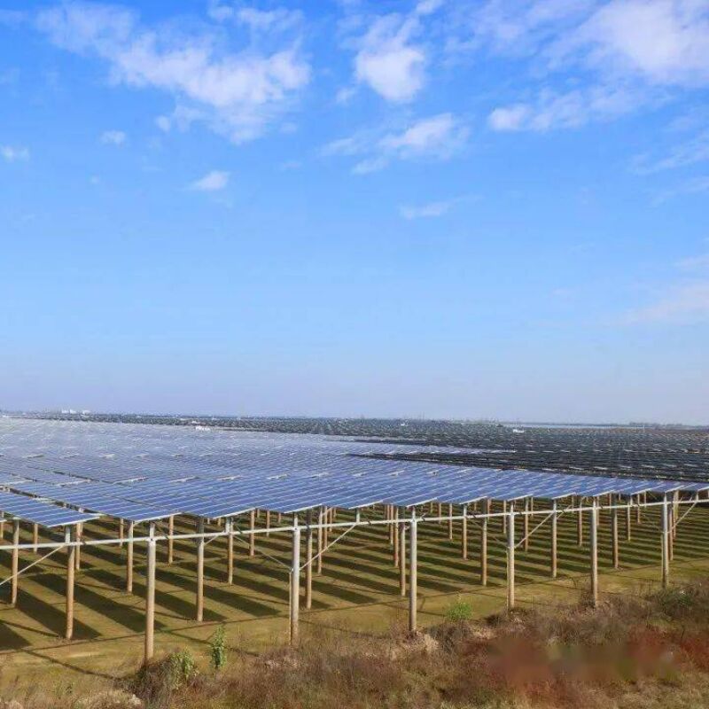 Ground Solar Mounting Brackets providing strong wind and snow load resistance with unique pile design and pre assembled components